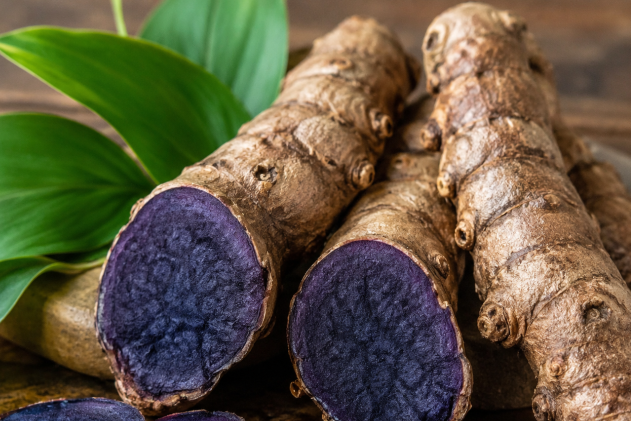 black turmeric powder root